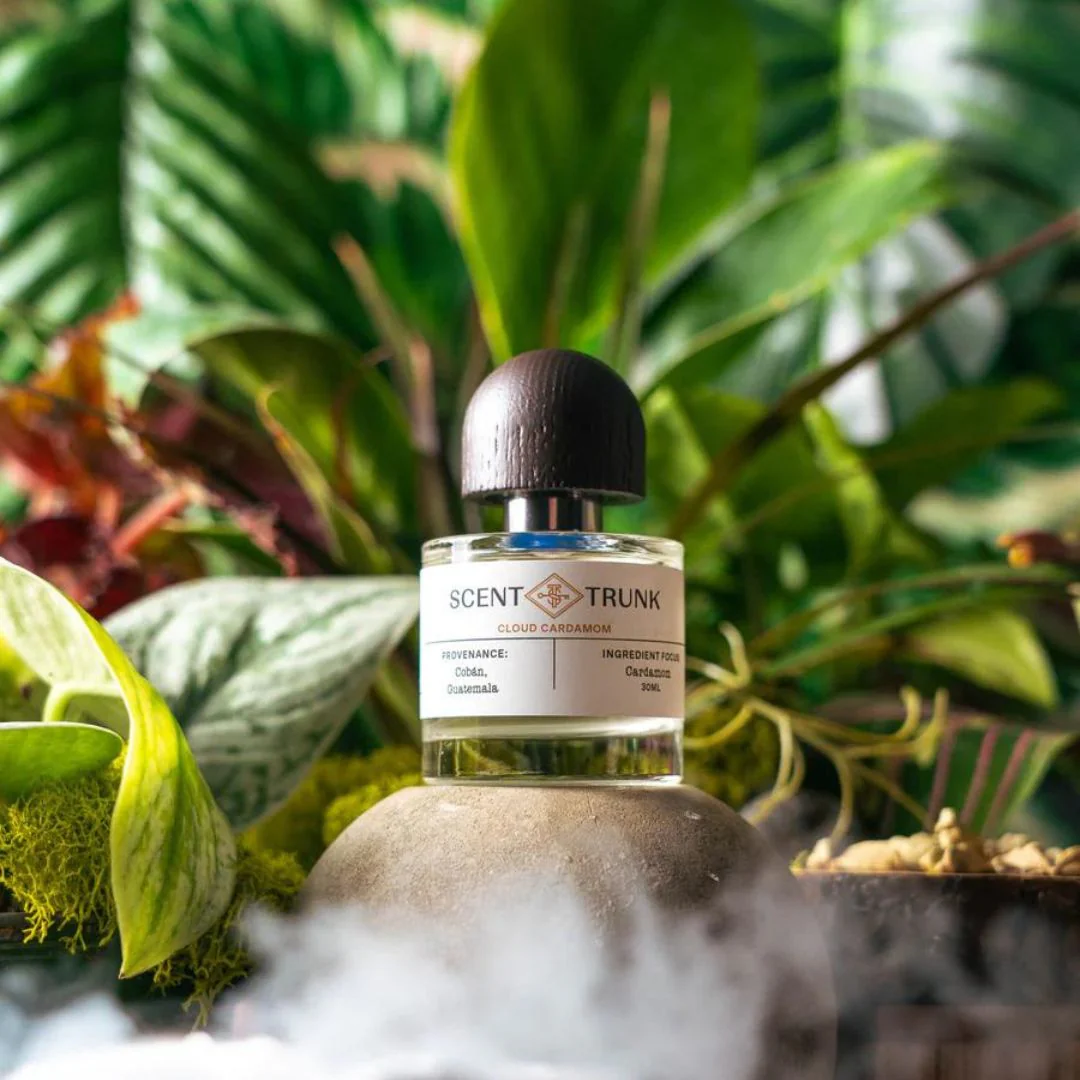 Cloud Cardamom - Image 2