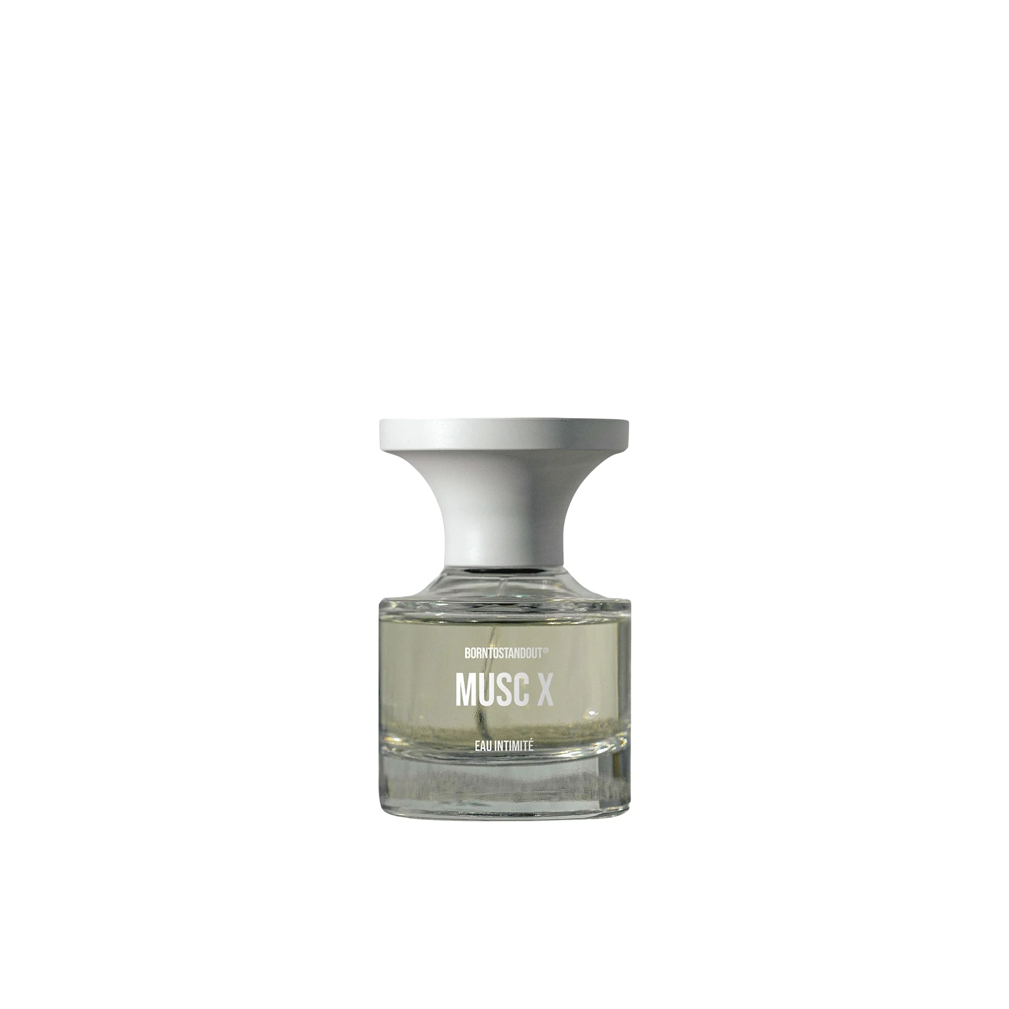 Musc X - Image 4
