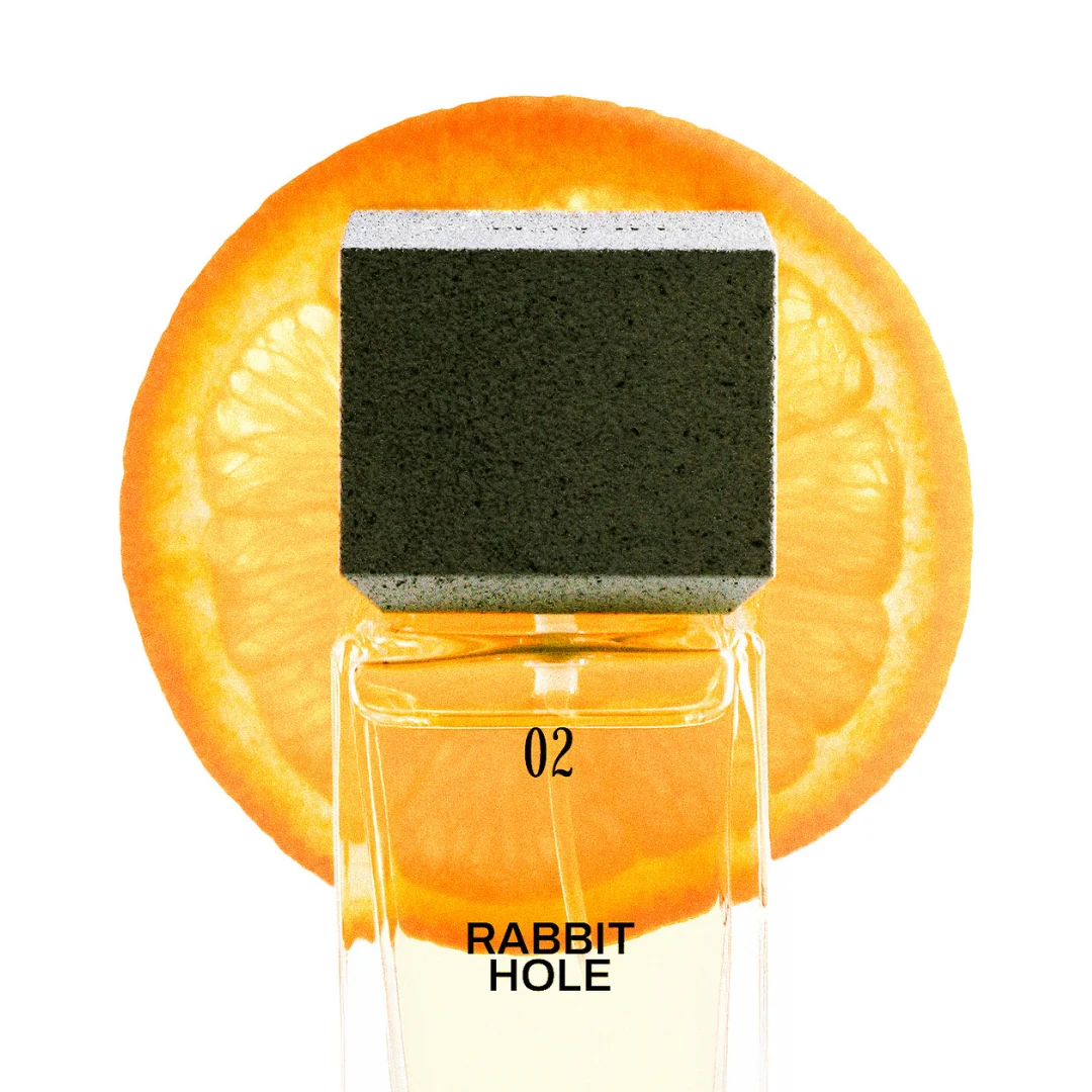 Rabbit Hole - Image 3