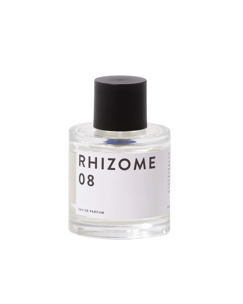 Rhizome 08
