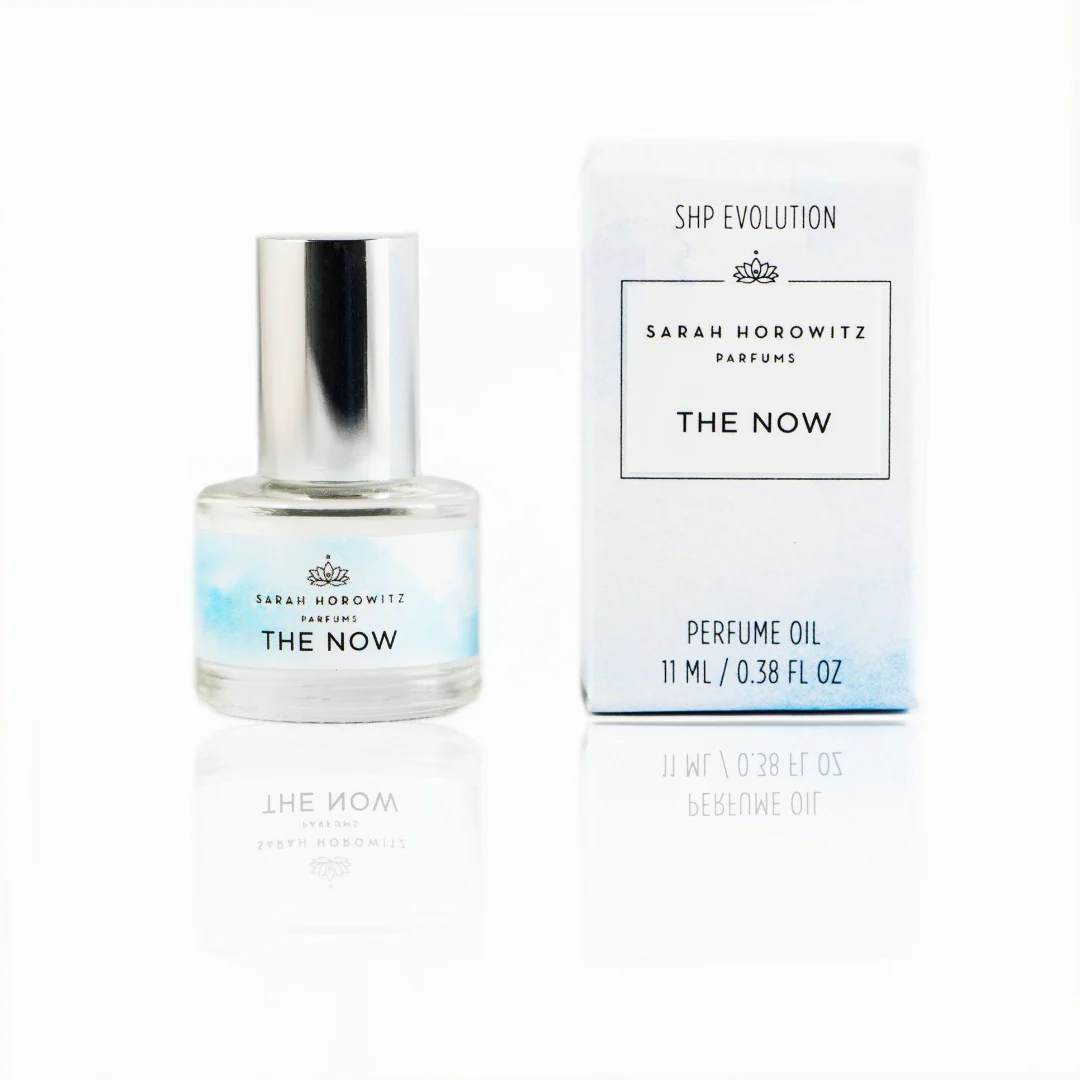 SHP Evolution - The Now - Image 2