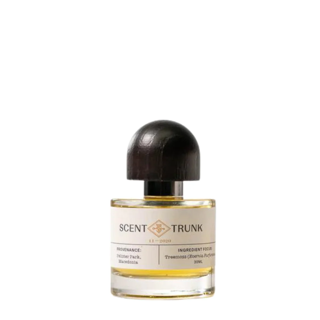 Treemoss - Image 3
