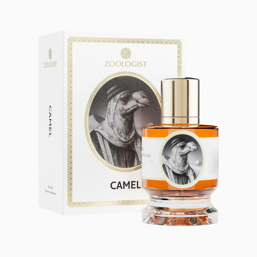 Camel - Image 3